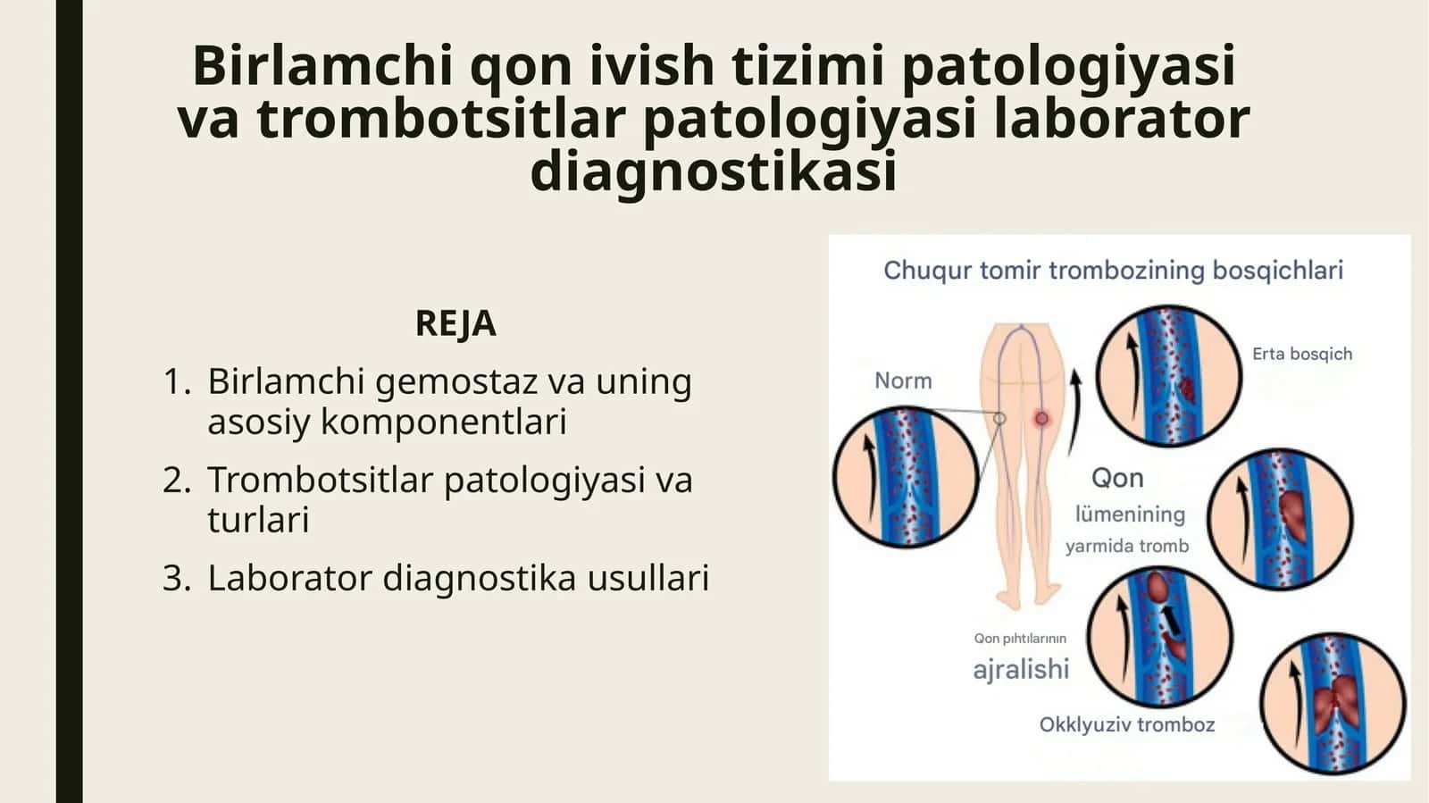 Birlamchi qon ivish tizimi patologiyasi va trombotsitlar patologiyasi laborator diagnostikasi 1