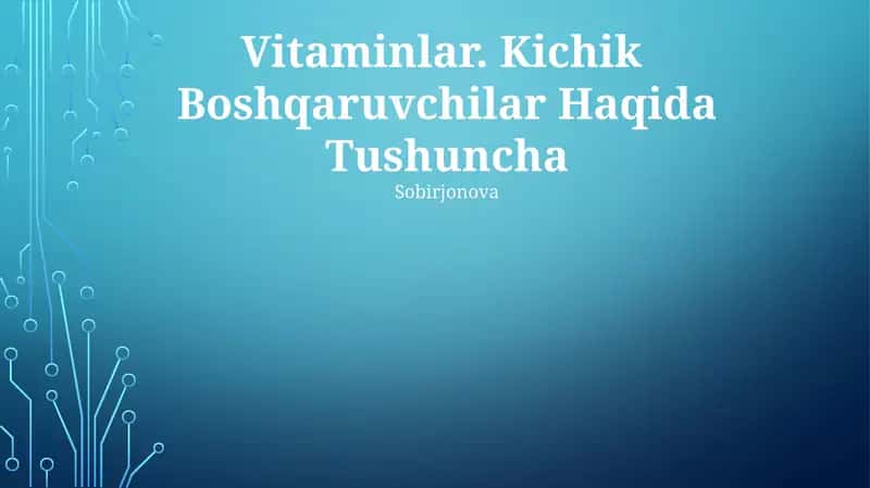 Vitaminlar. Kichik Boshqaruvchilar Haqida Tushuncha 1
