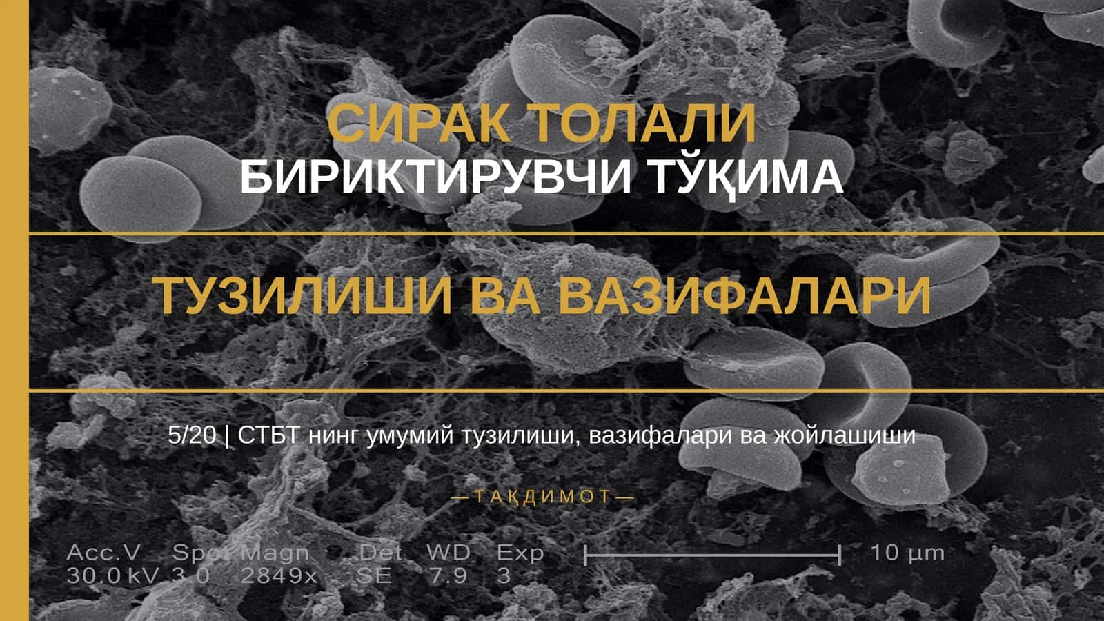 СИРАК ТОЛАЛИ БИРИКТИРУВЧИ ТЎҚИМА 1