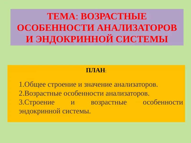 ВОЗРАСТНЫЕ ОСОБЕННОСТИ АНАЛИЗАТОРОВ И ЭНДОКРИННОЙ СИСТЕМЫ 1