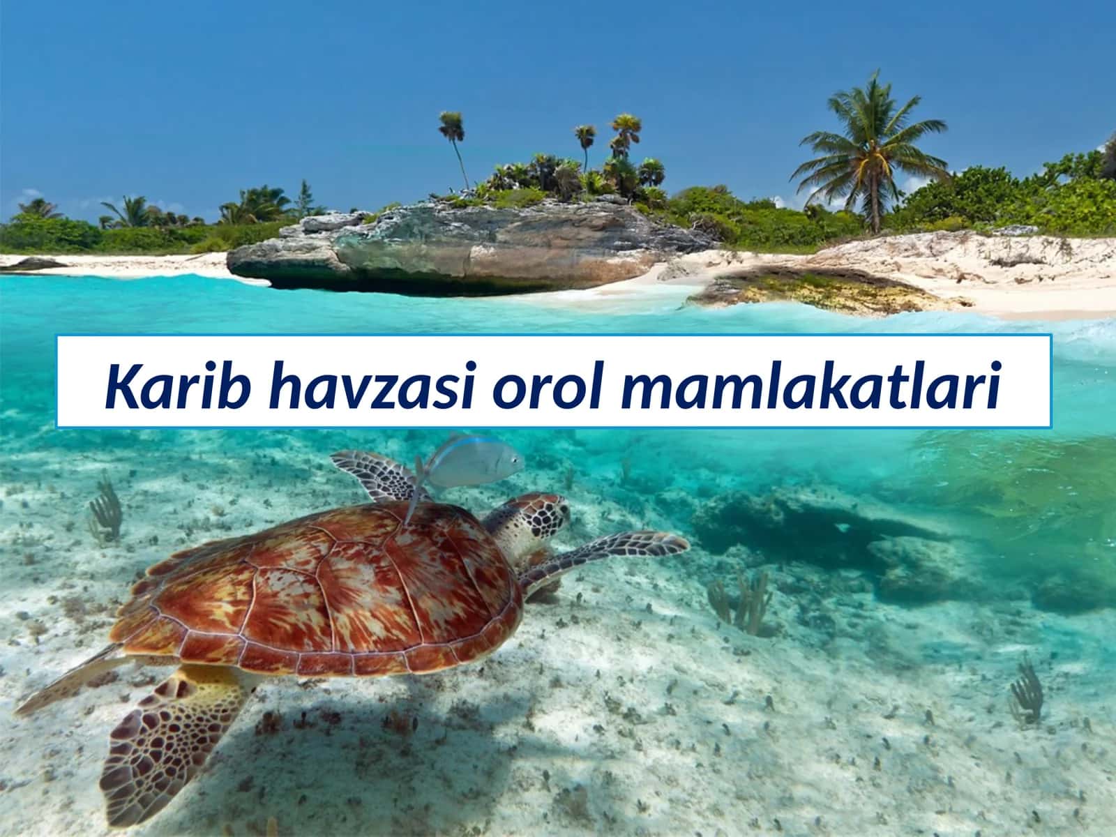 Karib havzasi orol mamlakatlari 1