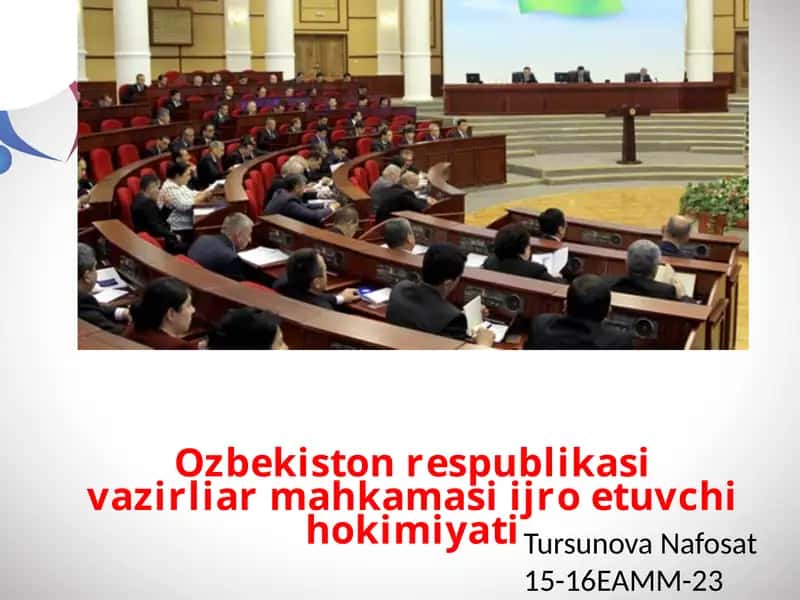 O‘zbekiston Respublikasi Vazirlar Mahkamasi ijro etuvchi hokimiyati 1