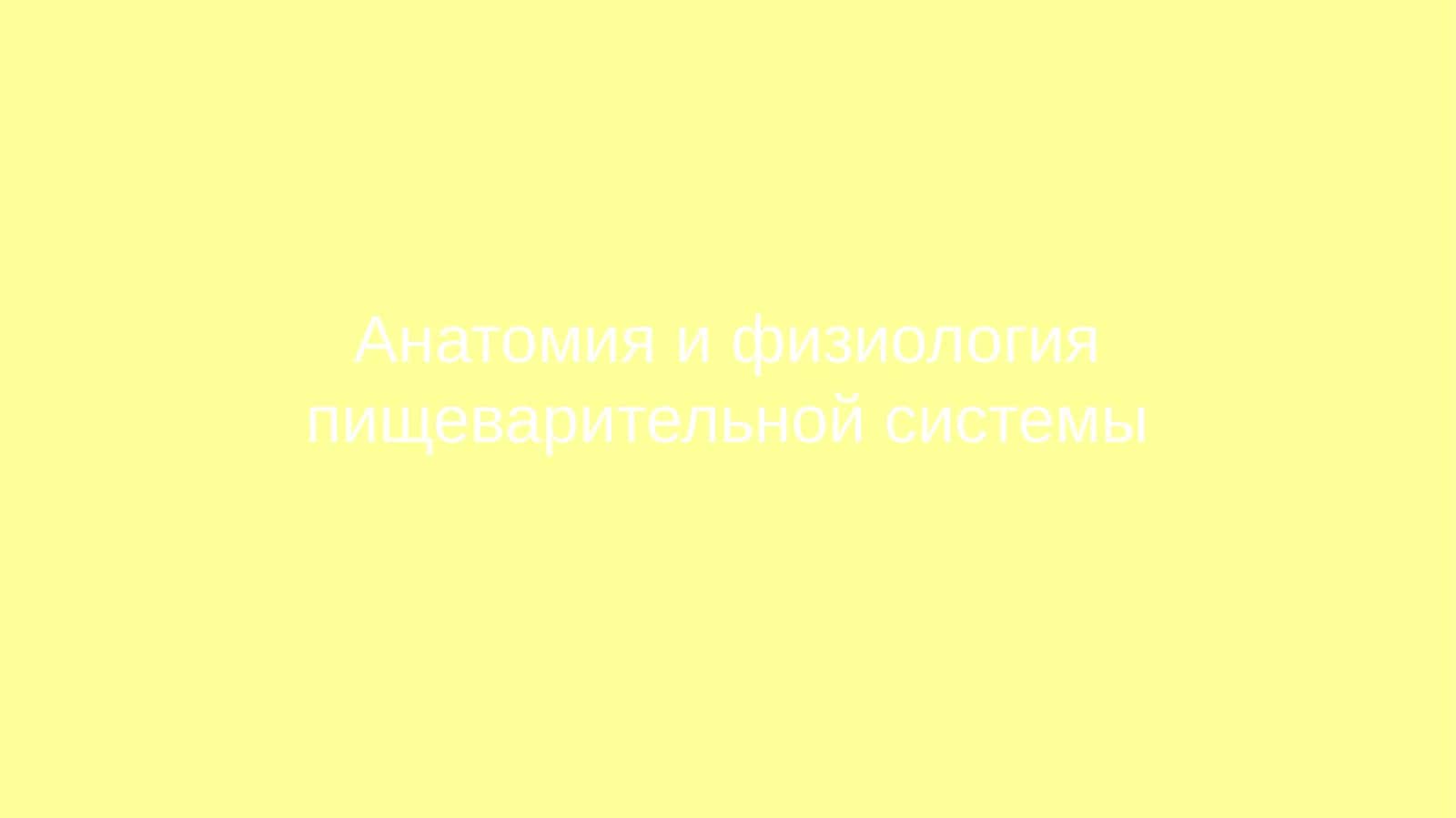 Анатомия и физиология пищеварительной системы 1