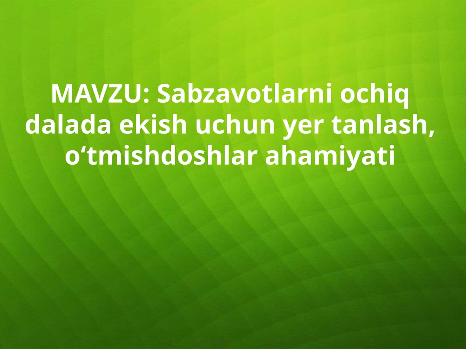 Sabzavotchilik tizimi 1