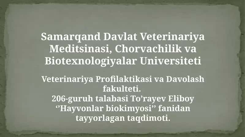Nafas olish zanjiri. Makroenergitik birikmalarni sentezi 1