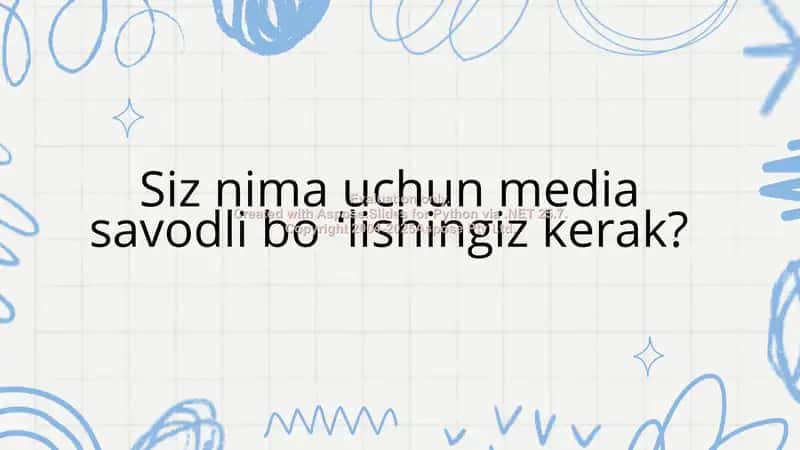 Blue Doodle Project Presentation 1