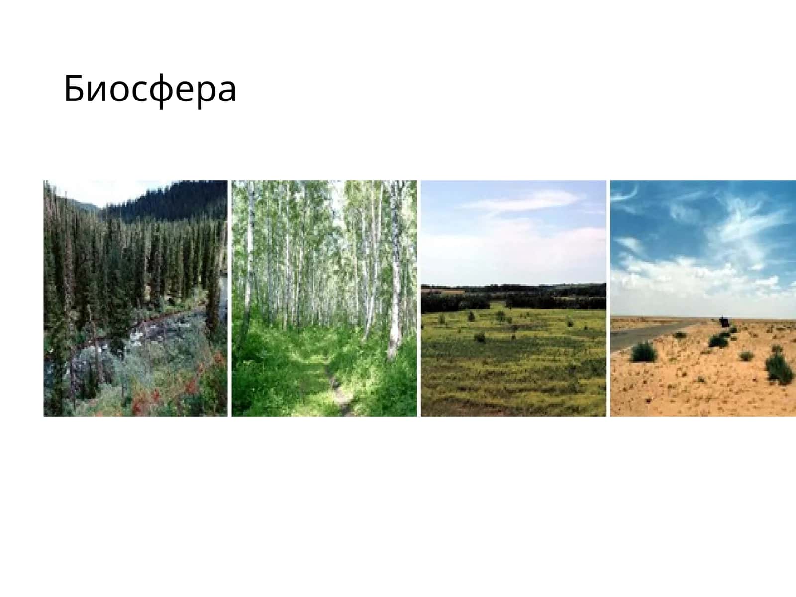 Биосфера 1