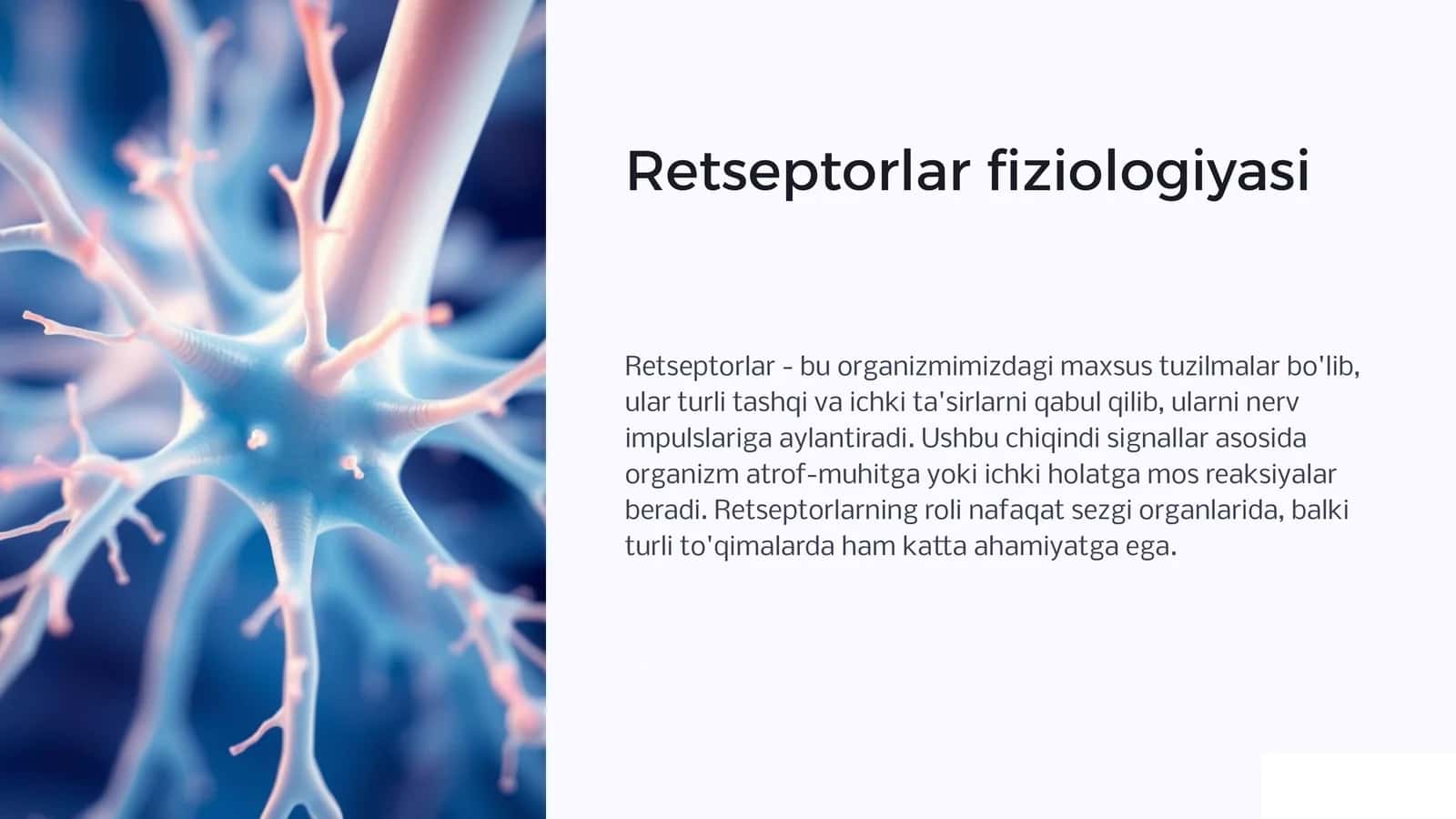 Retseptorlar fiziologiyasi 1