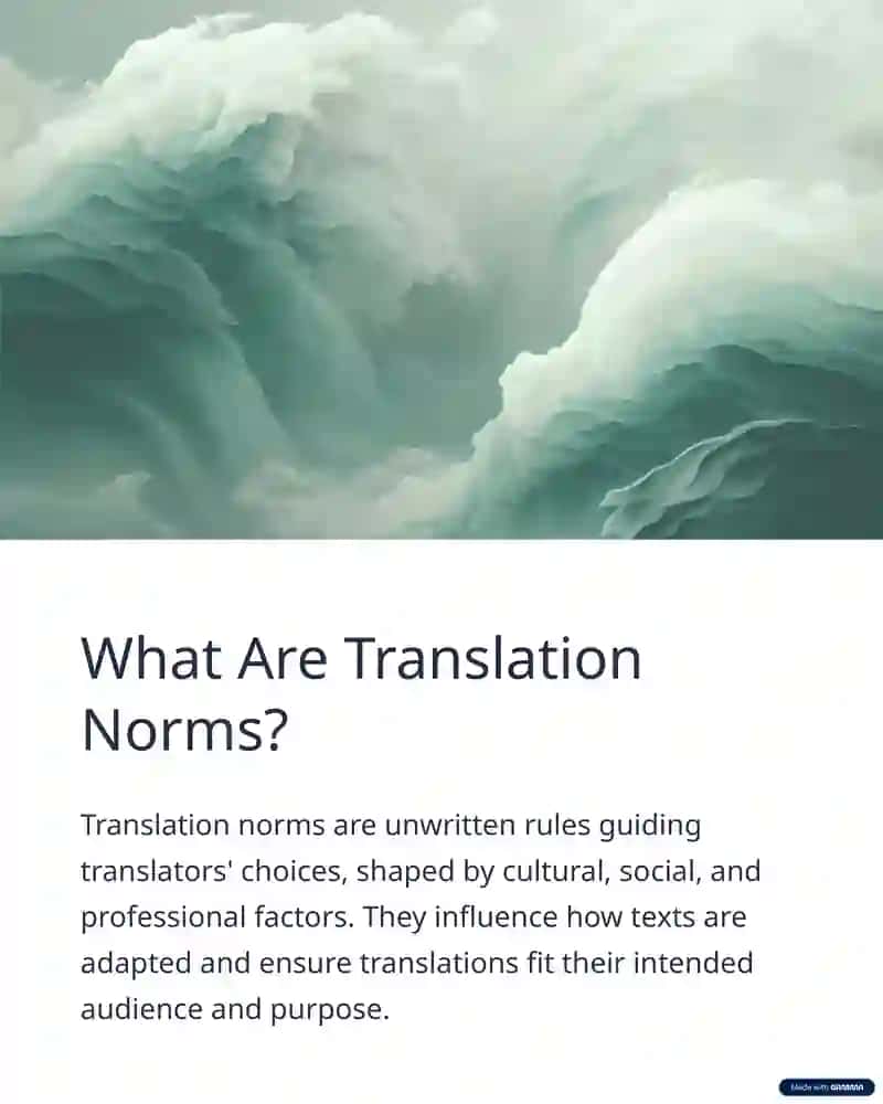 Chesterman's Translation Norms 2