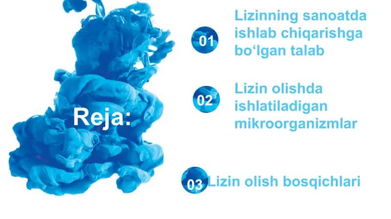 Lizin sintez qiluvchilik mikroorganizmlarini oʻrganish 2