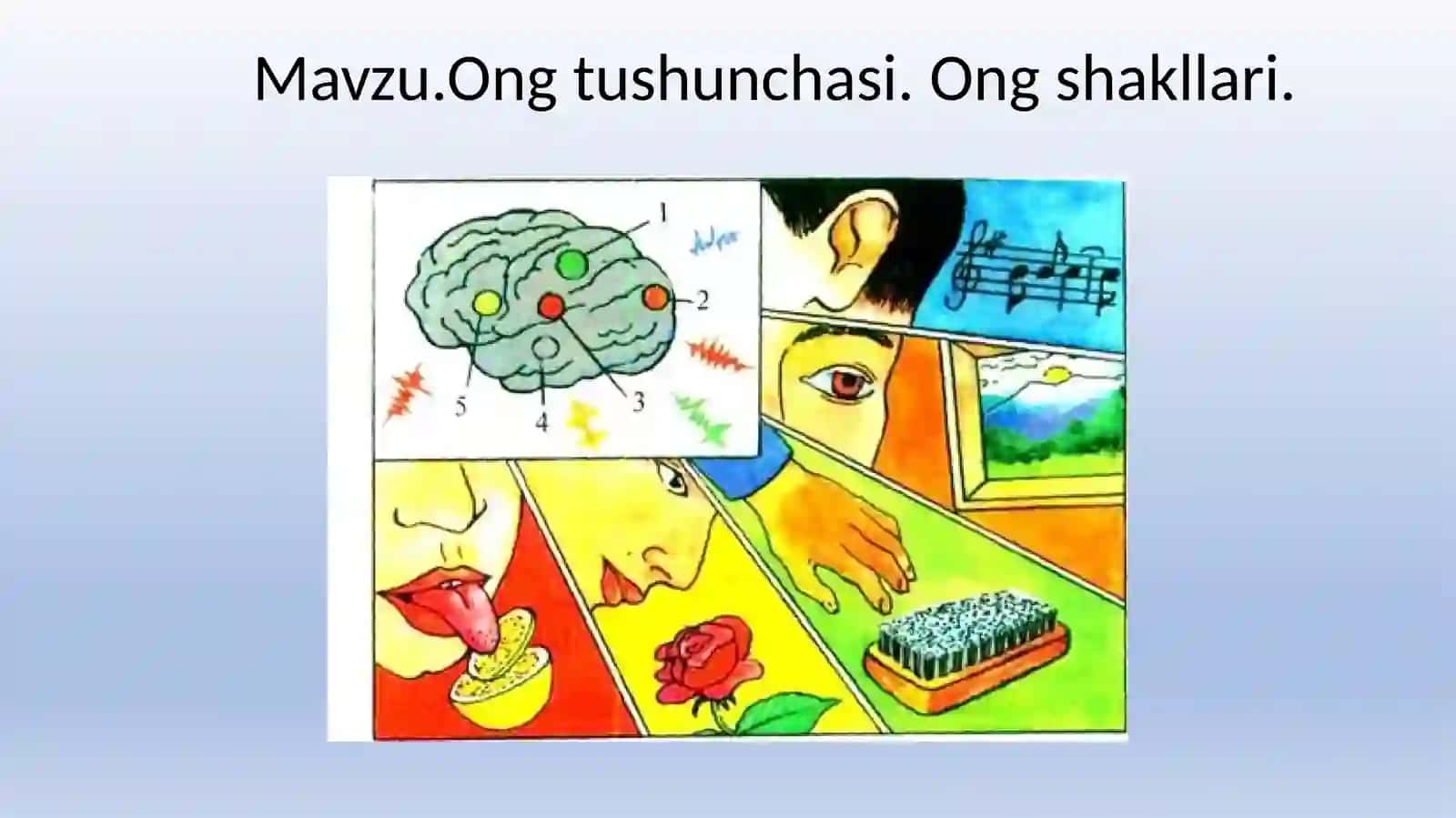 Ong tushunchasi. Ong shakllari 2