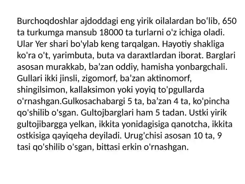 Burchoqdoshlar 2
