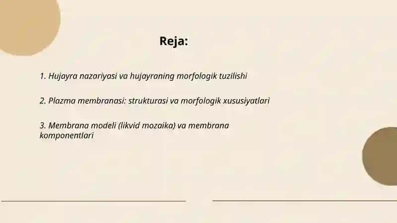 Hujayra va uning organellalarining morfologik jihatdan tuzilmaviy asoslari 2