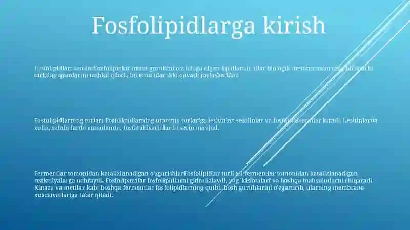 Fosfolipidlar.Litsetinlar Va Kefalinlar. Fermentlar TaʼSirida OʻZgarishi 2