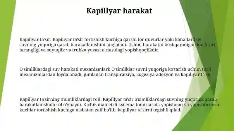 Ösimliklarda Suvni Yuqoriga Kötaruvchi Mexanizmlar 2