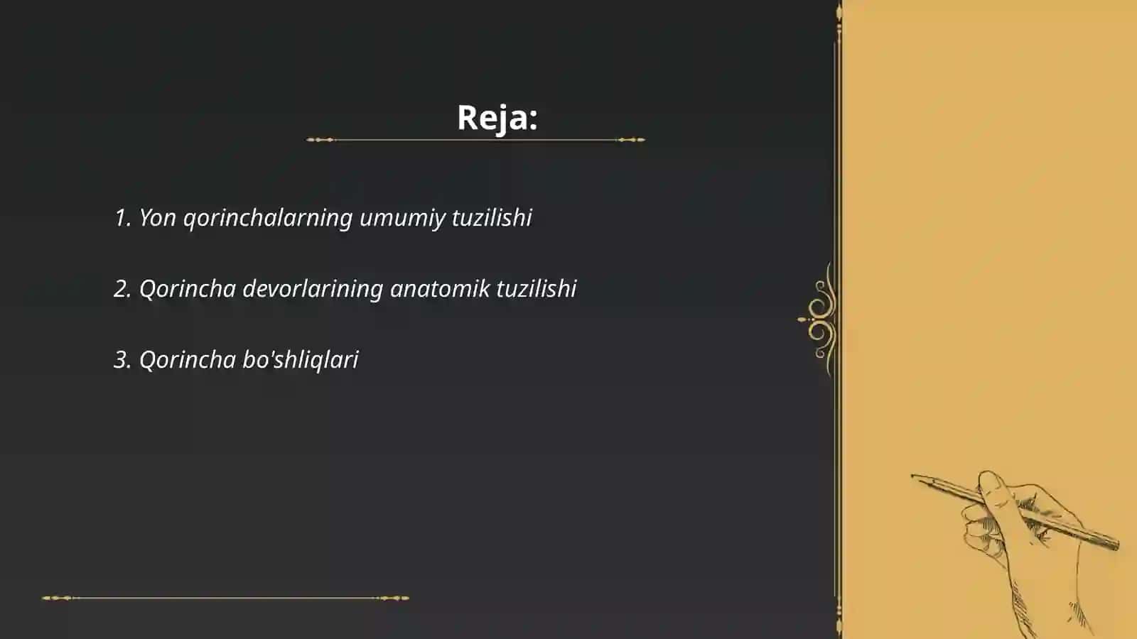 Yon qorinchalar anatomiyasi va ularning funksional xizmati 2