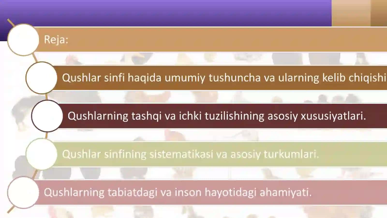 Qushlar sinfining umumiy tavsifi va sistematik shakli 2