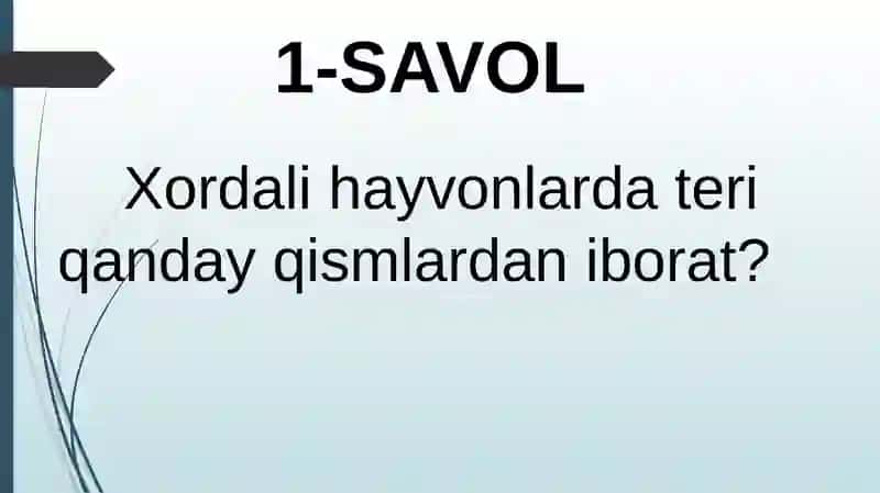 HAYVONLARNING NAFAS OLISH ORGANLARI EVOLUTSIYASI 2