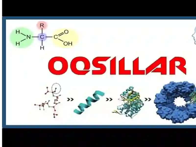SUN‘IY OQSIL OZUQA MODDALARINING ISHLAB CHIQARILISHI VA KELGUSIDAGI IMKONIYATLAR 2