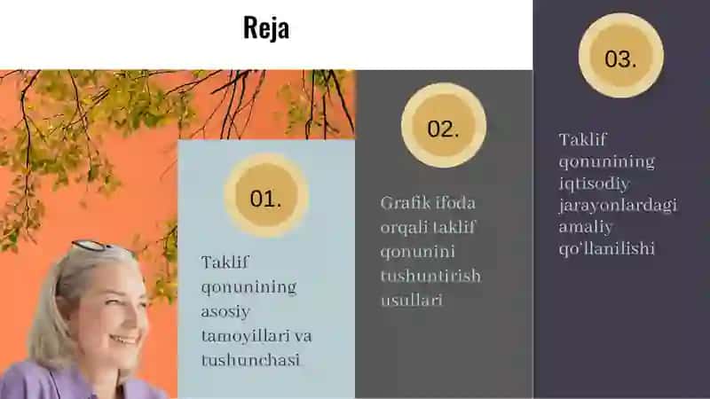 Taklif qonuni va uning grafik ifodasi 2