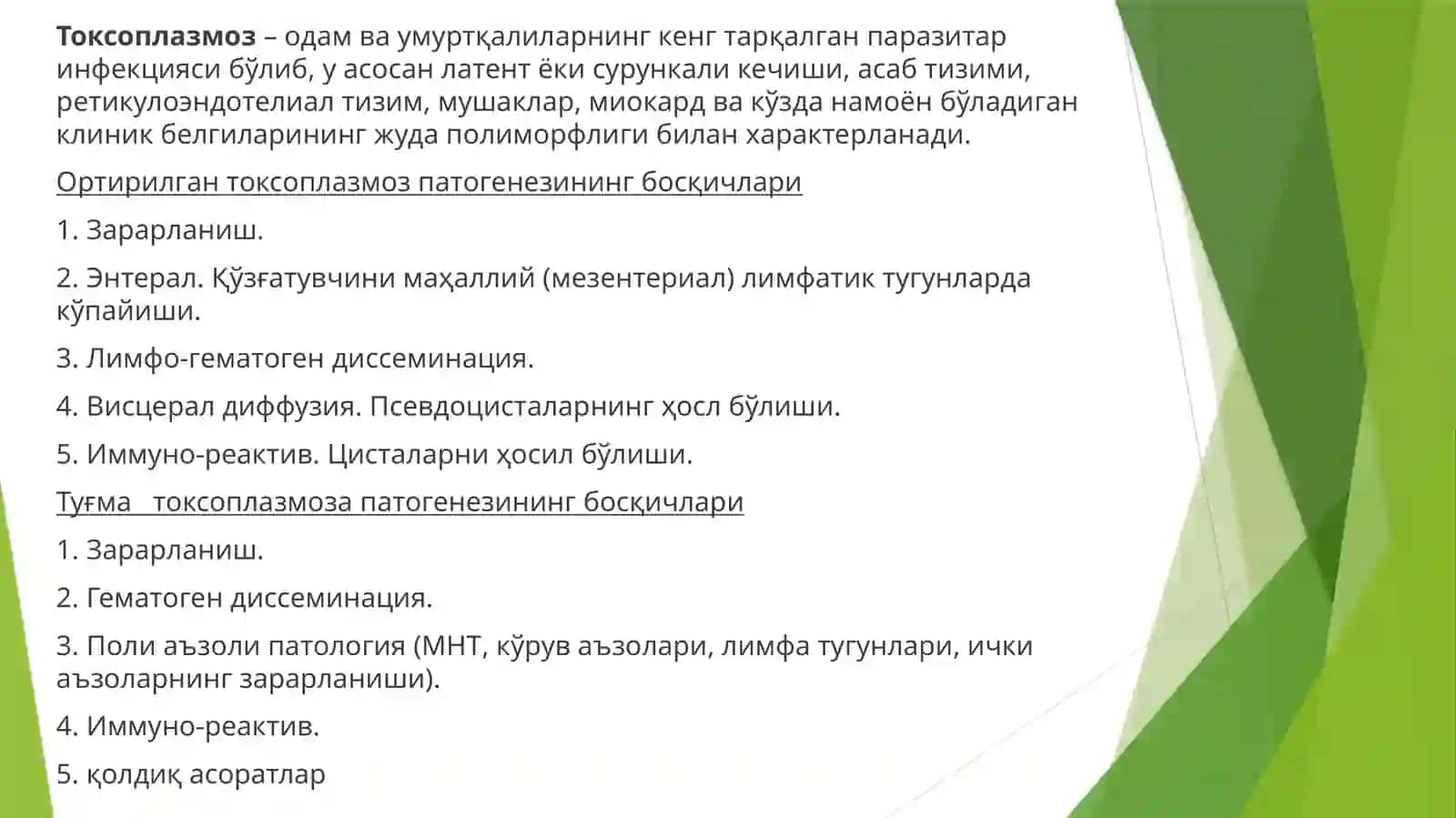 Torch infelsiyasi 2