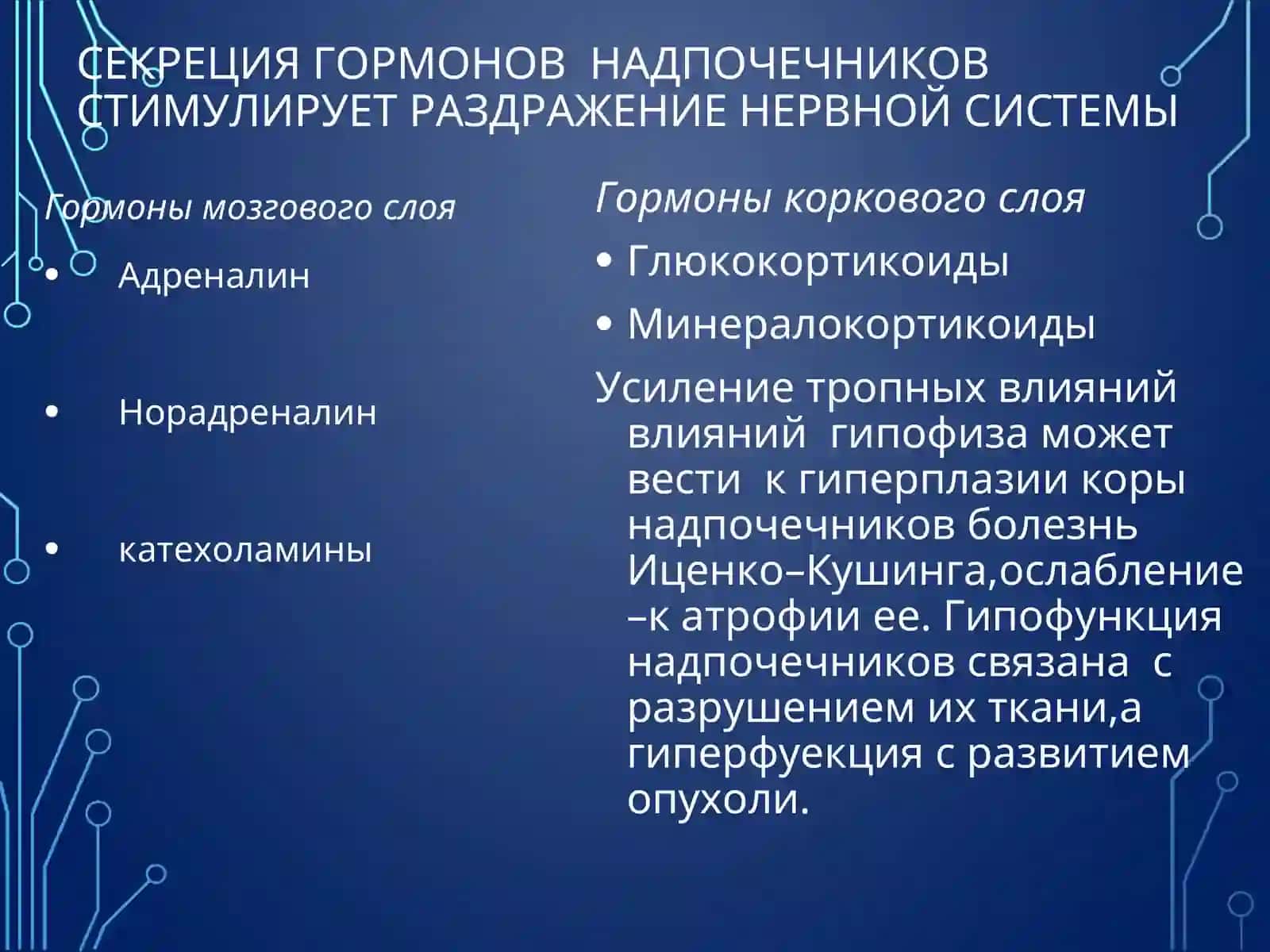 ЭНДОКРИННЫЕ ЗАБОЛЕВАНИЕ 2