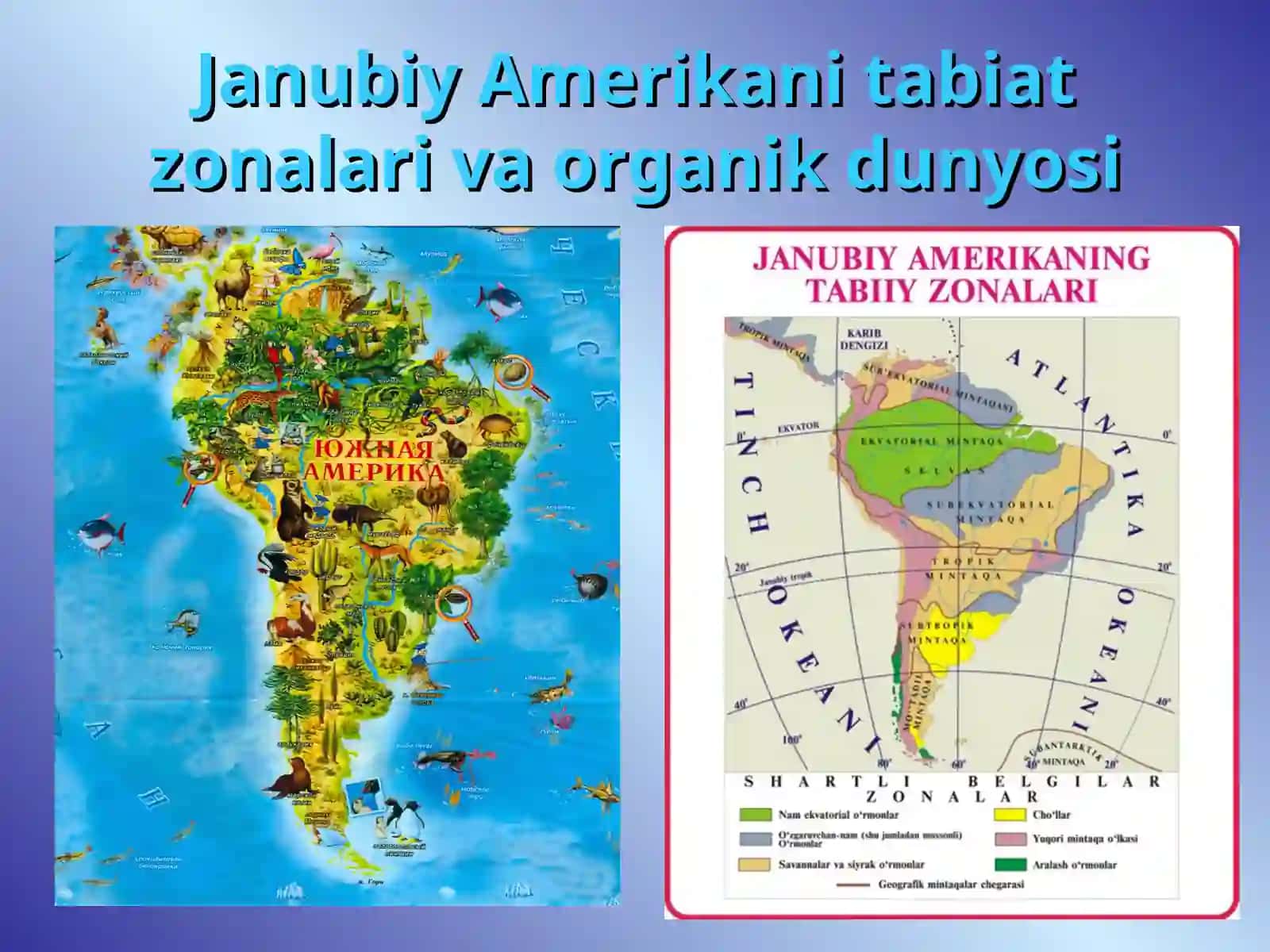 Janubiy Amerikani tabiat zonalari va organik dunyosi 2