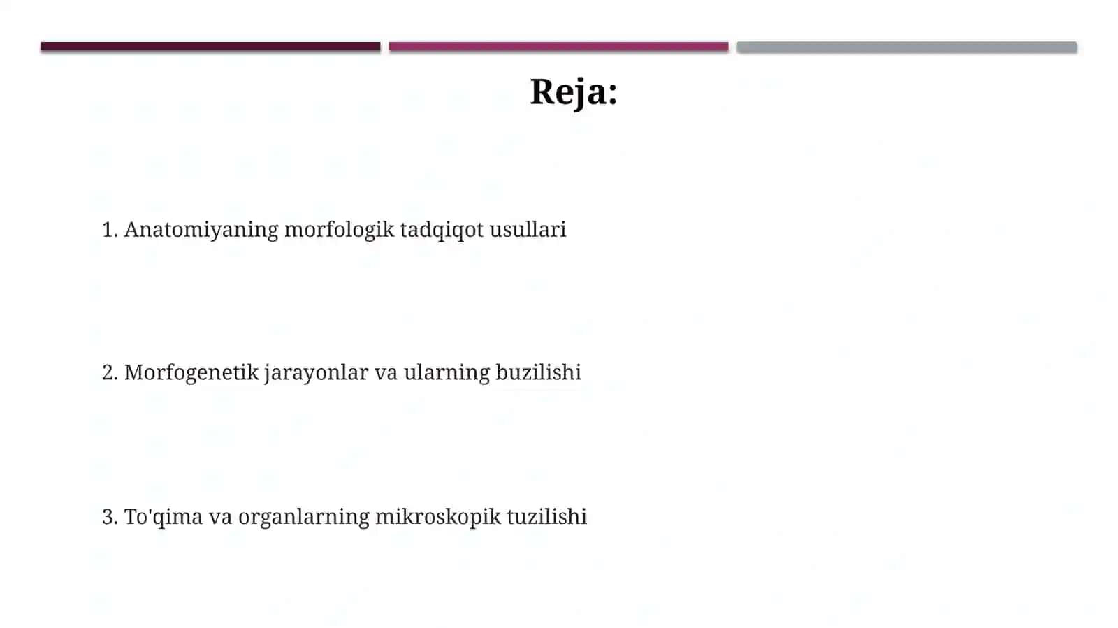 Anatomiya bo'yicha morfologik organish 2