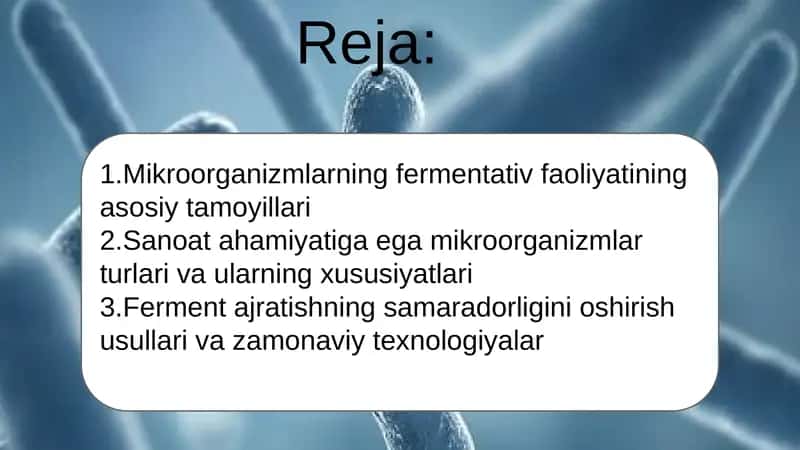 Fermentlar ajratishda ishtirok etuvchi mikroorganizmlar biologiyasi 2