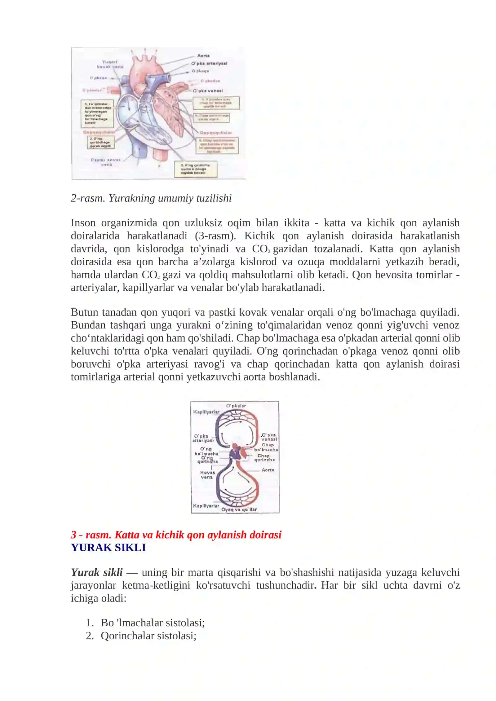YURAK QON-TOMIR TIZIMI 2