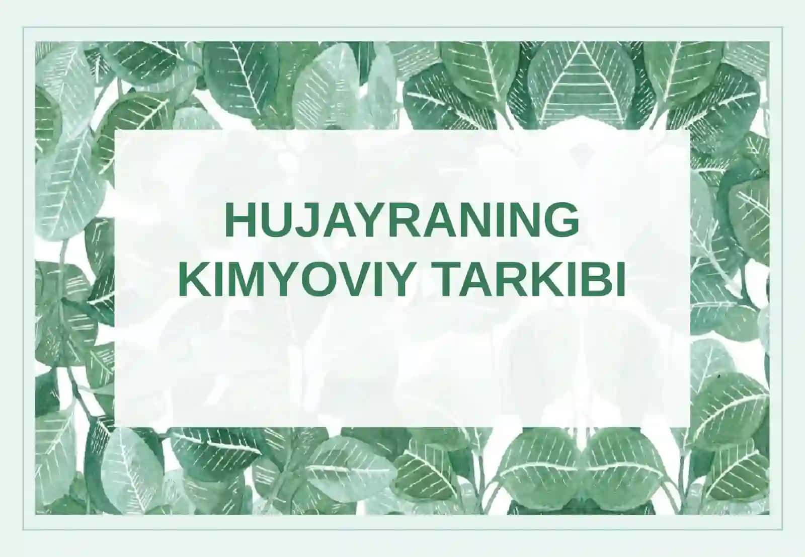 HUJAYRANING KIMYOVIY TARKIBI 2