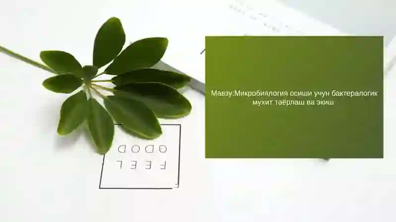 Бактералогик муҳит таёрлаш 2