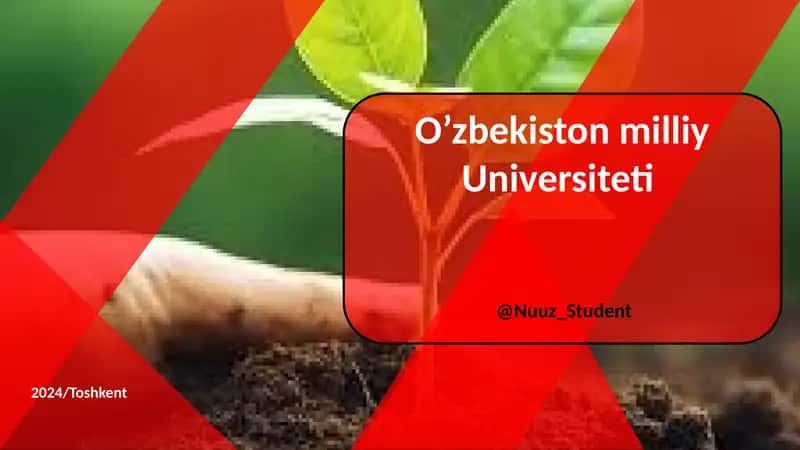 O’zbekiston milliy Universiteti 2