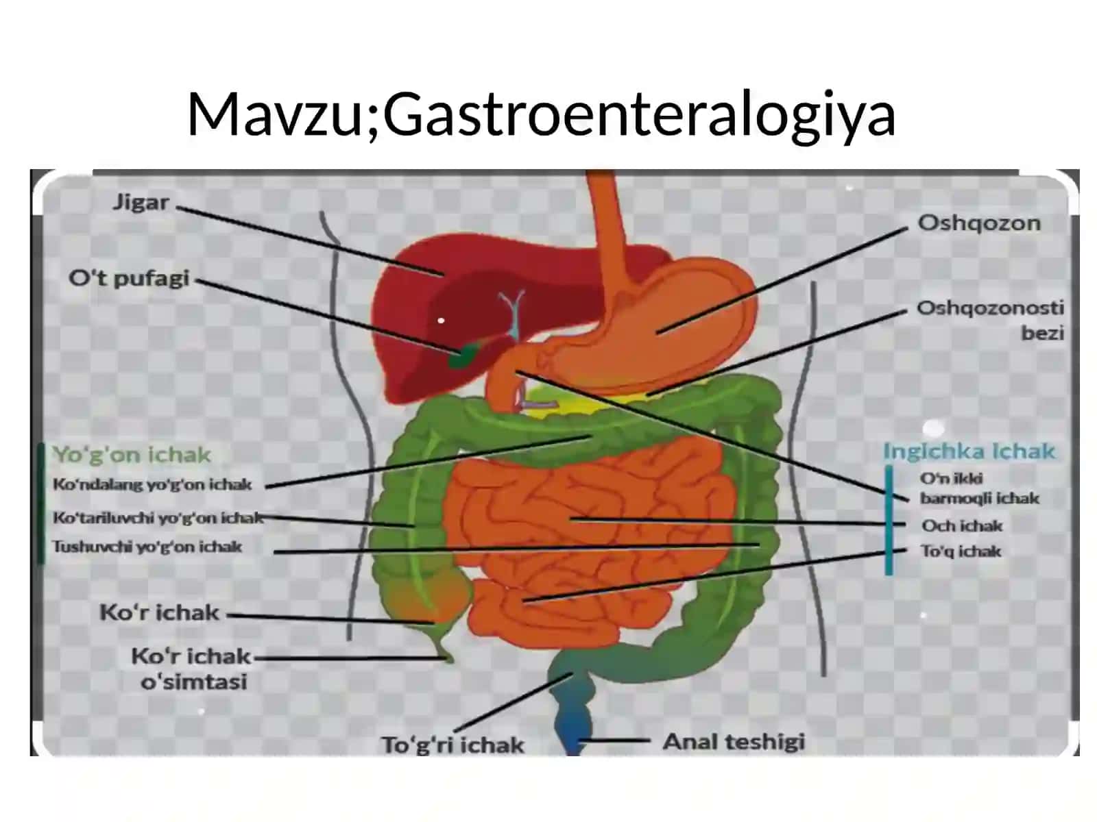 Gastroenteralogiya 2