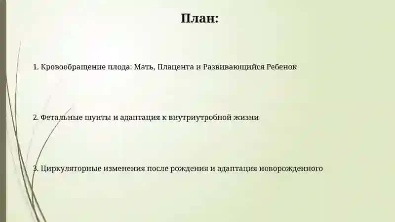 Кровообращение в утробе матери и изменения после рождения 2