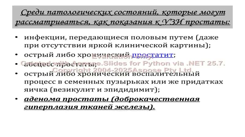 Ультразвуковая диагностика предстательной железы, семенные пузырьки и заболевания простатического отдела уретры 2