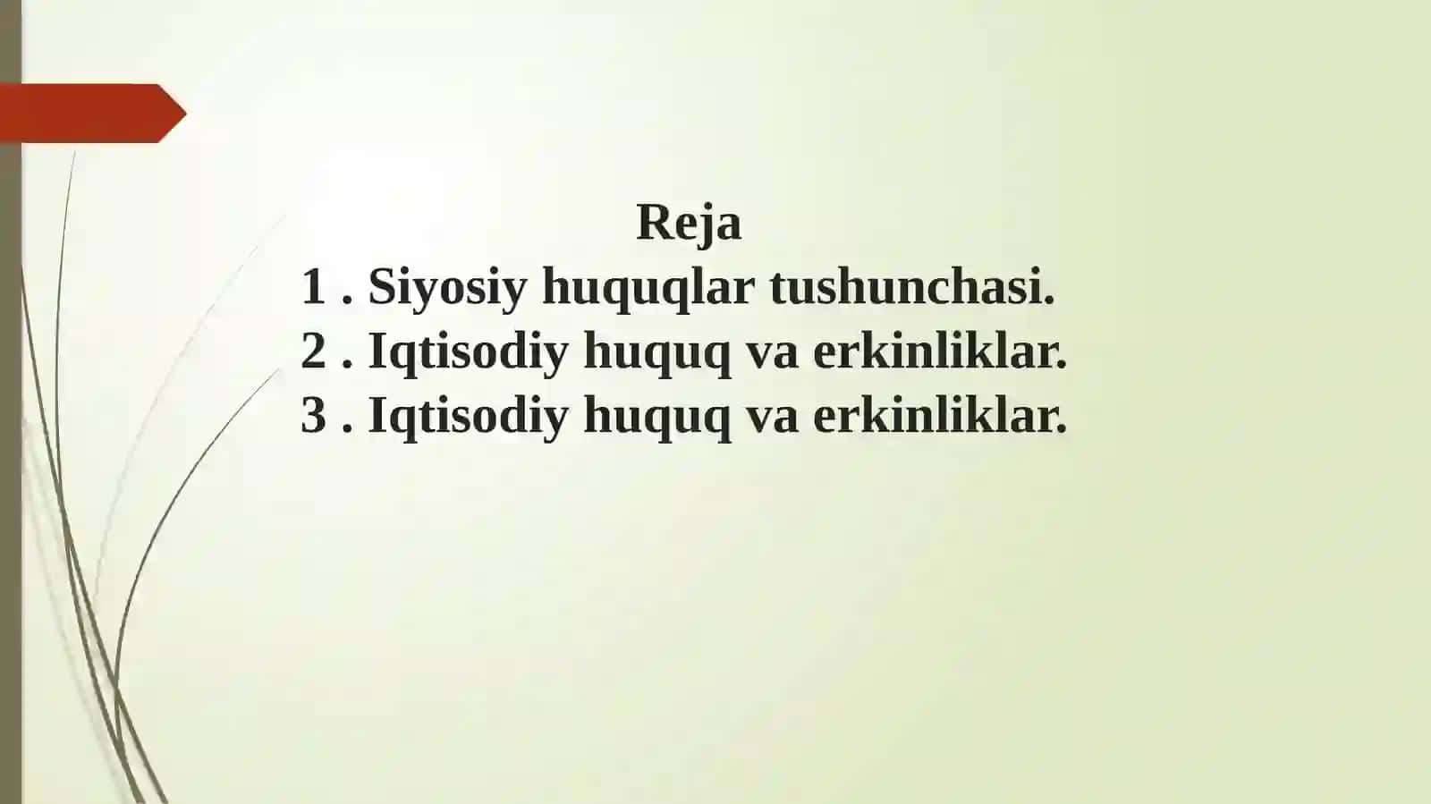 Fuqarolarning shaxsiy, siyosiy, ijtimoiy, iqtisodiy, madaniy va ekologik huquqlari 2
