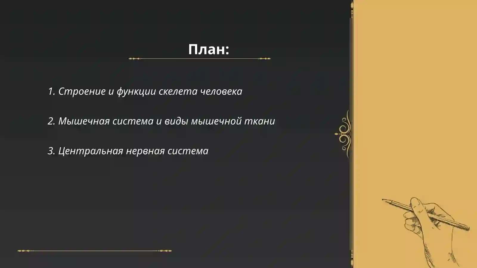 Анатомия и физиология человека 2