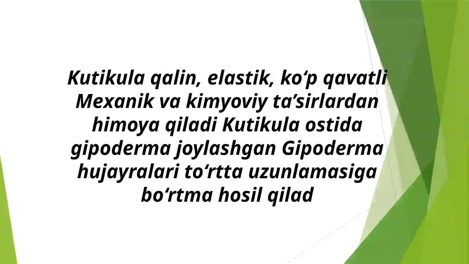 To‘garak chuvalchanglarning tana tuzilishi 2