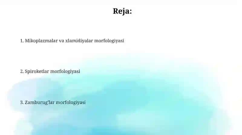 Mikoplazmalar, xlamidiyalar, spiroxetalar va zamburug'lar morfologiyasi 2