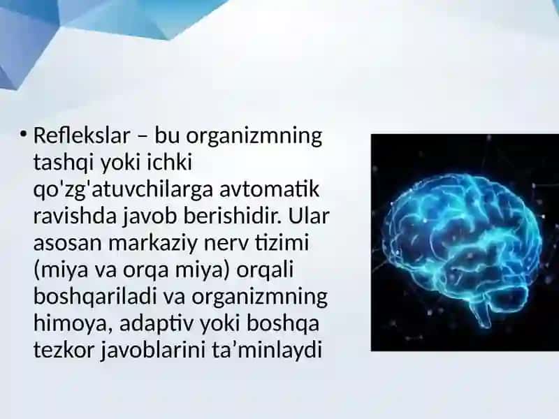 Reflekslar 2