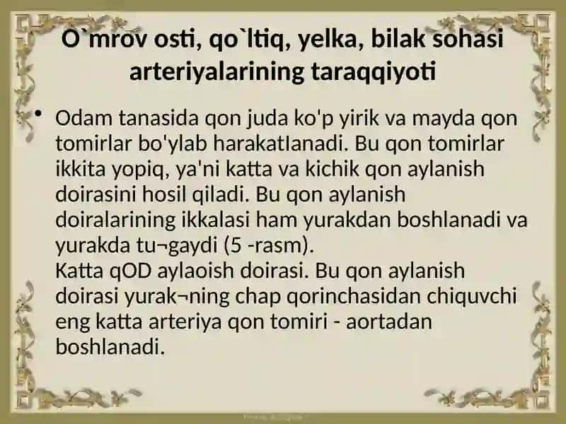 O`mrovosti, qo`ltiq, yelka, bilaksohasi arteriyalarining taraqqiyoti 2