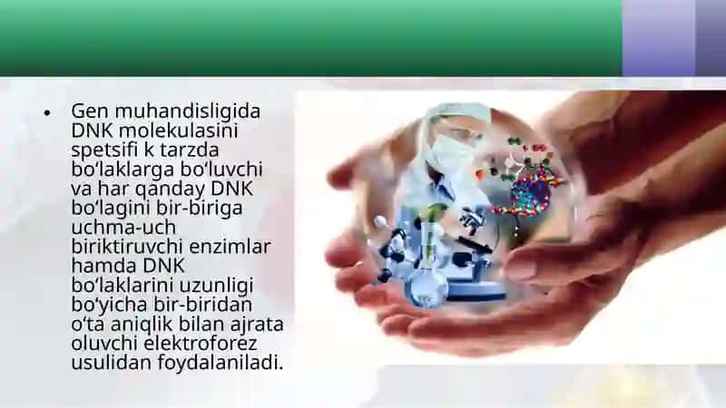 Viruslarni gen muxandisligida qo‘llanilishi 2