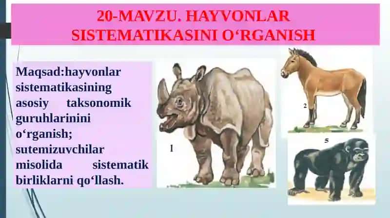 HAYVONLAR SISTEMATIKASINI O‘RGANISH 2