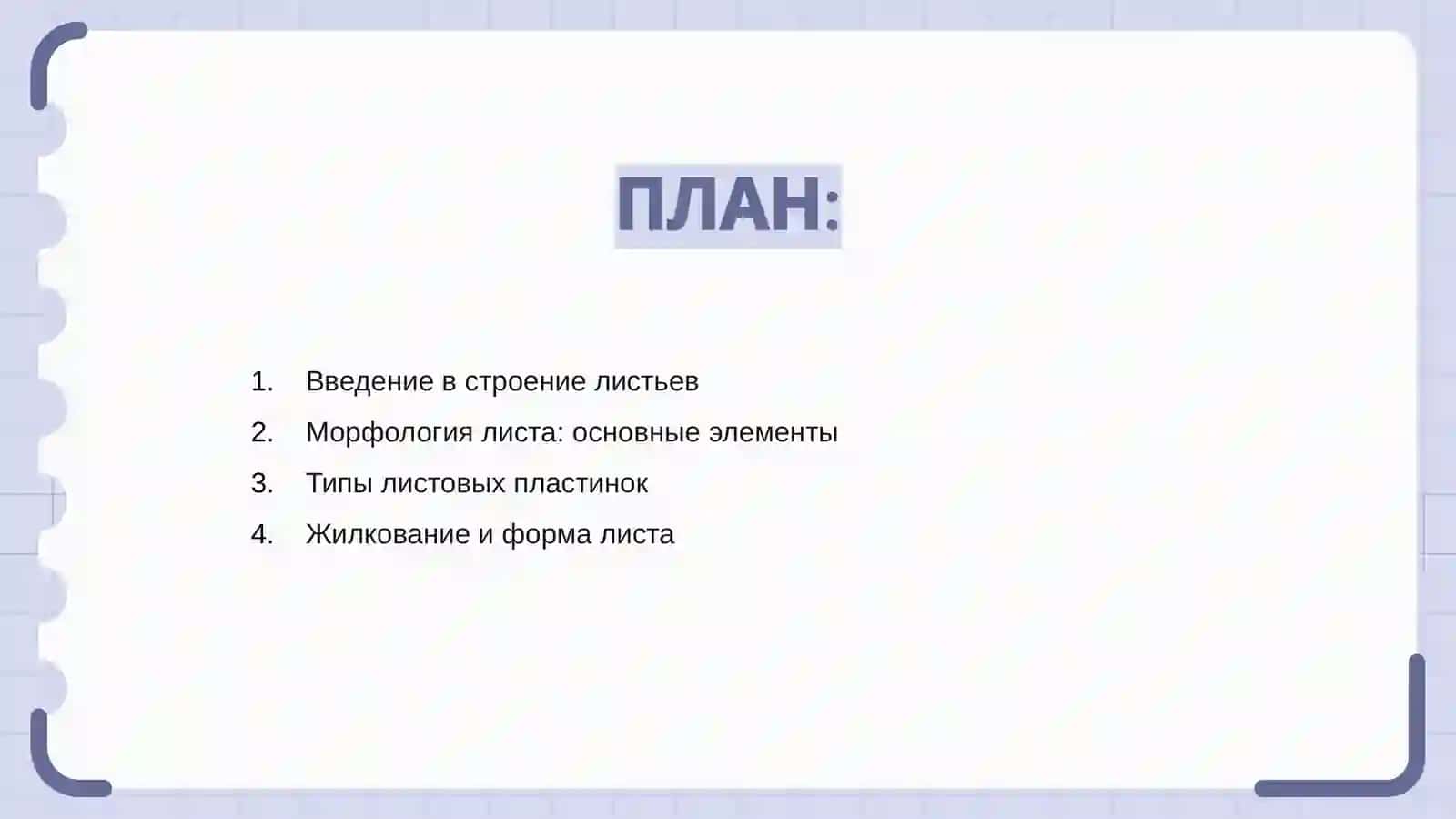 "Морфологическое и анатомическое строение листьев" 2