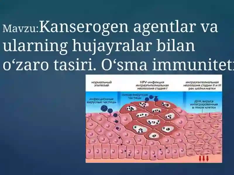 Kanserogen agentlar va ularning hujayralar bilan o‘zaro tasiri. O‘sma immuniteti. 2