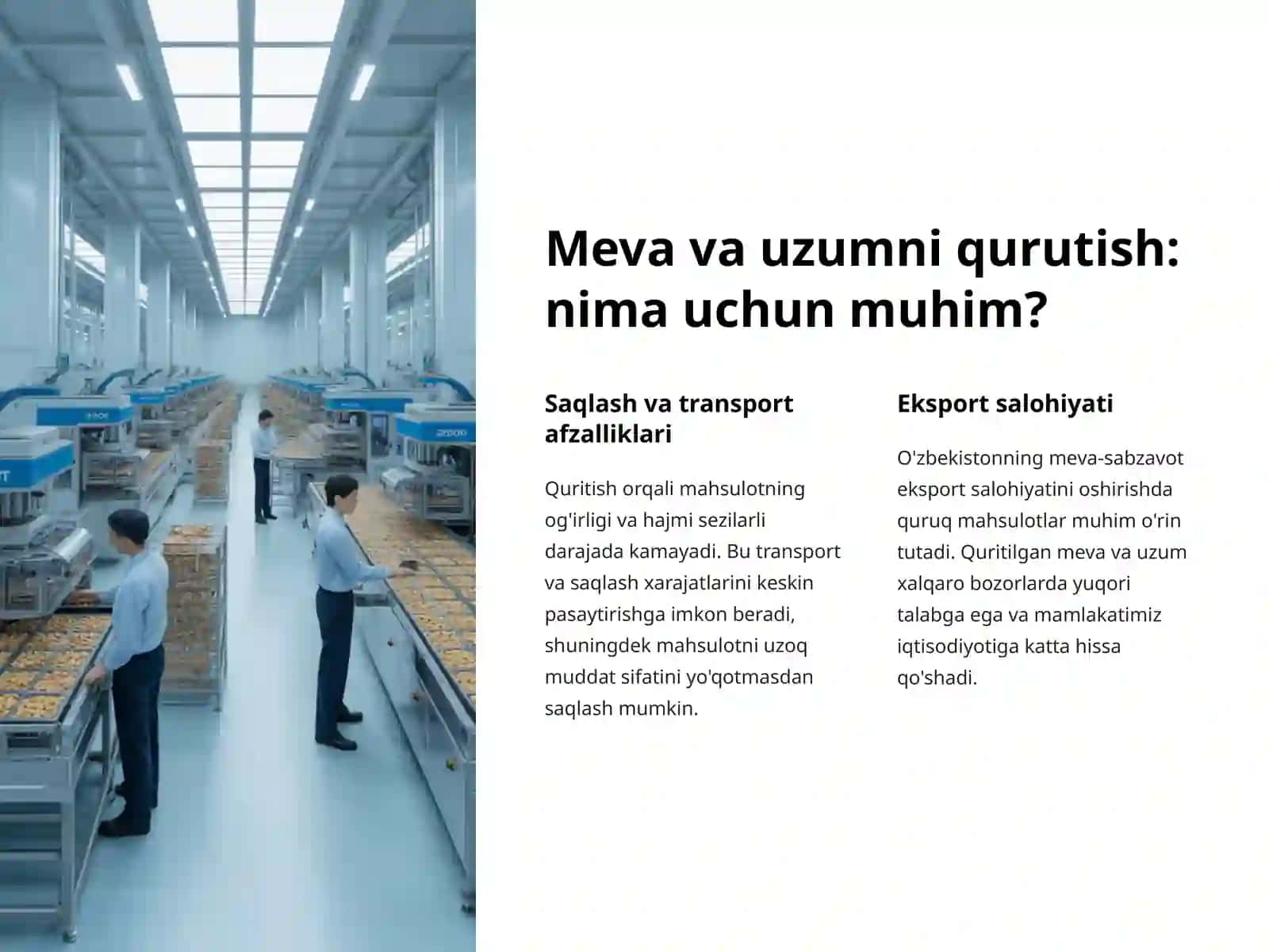 Meva va uzumni qurutishda xomashyoga bo'lgan talabni hisoblash 2
