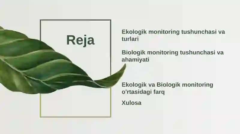 Ekologik va biologik monitoring 2