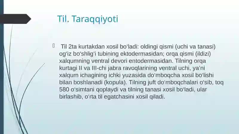 taʼm bilish aʼzosining morfofunksional tavsifi 2