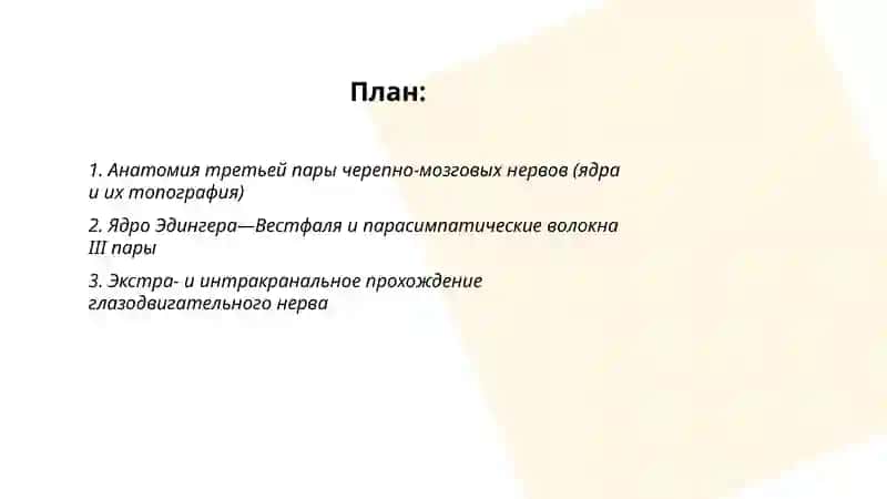 Третья пара черепно мозговых нервов 2